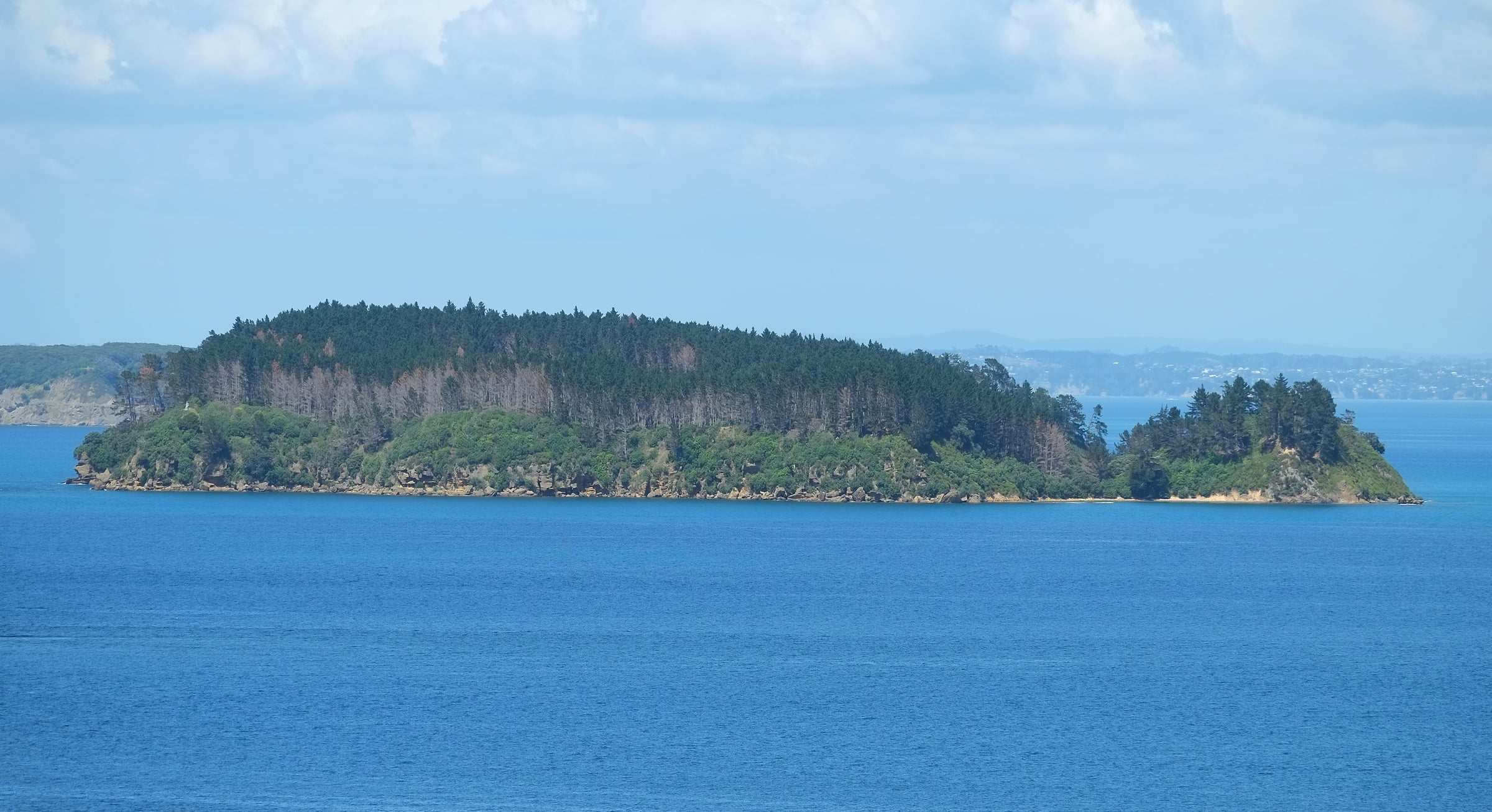Motuketekete Island’s forested shoreline across the blue waters of the Hauraki Gulf.